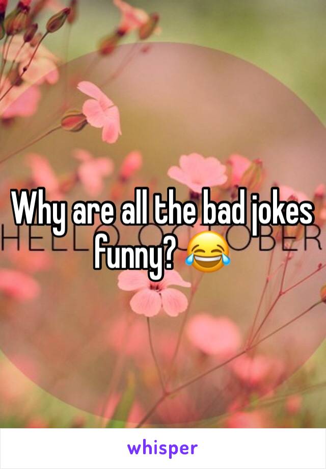 Why are all the bad jokes funny? 😂