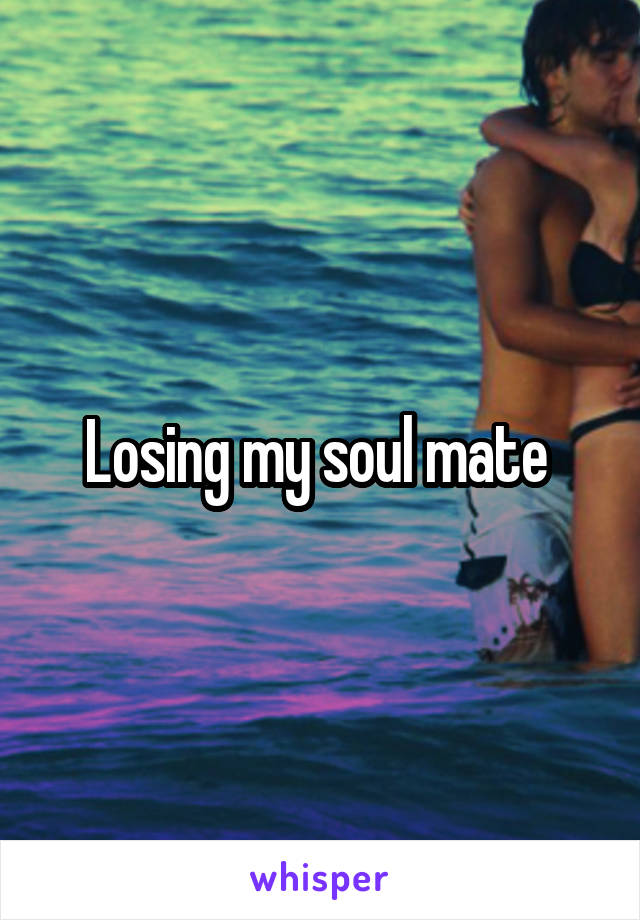 Losing my soul mate 