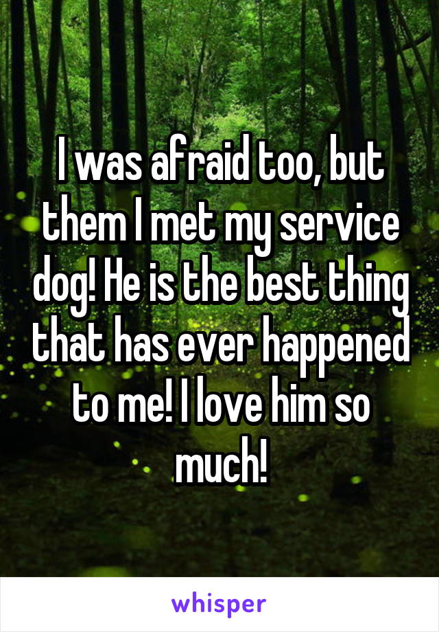 I was afraid too, but them I met my service dog! He is the best thing that has ever happened to me! I love him so much!