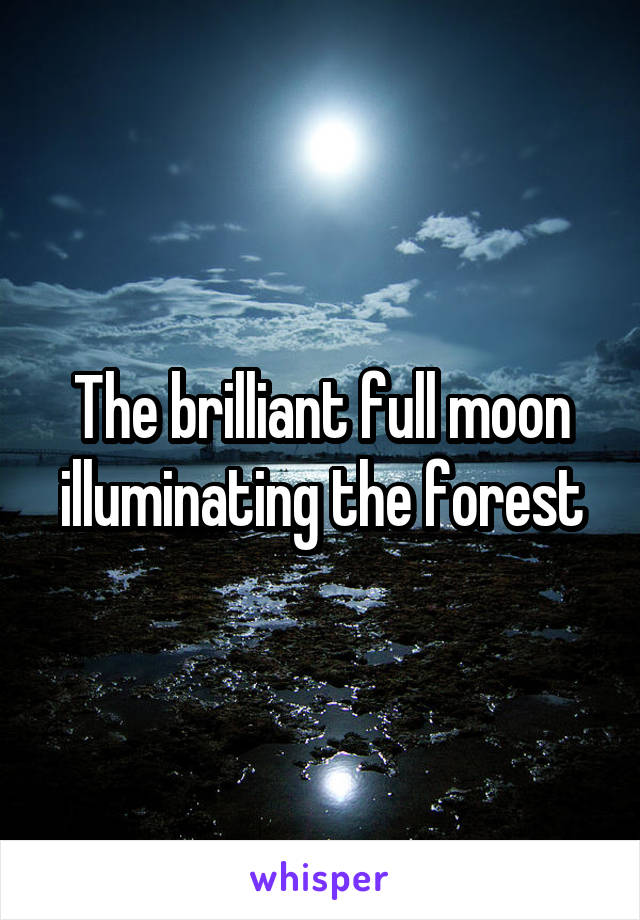 The brilliant full moon illuminating the forest