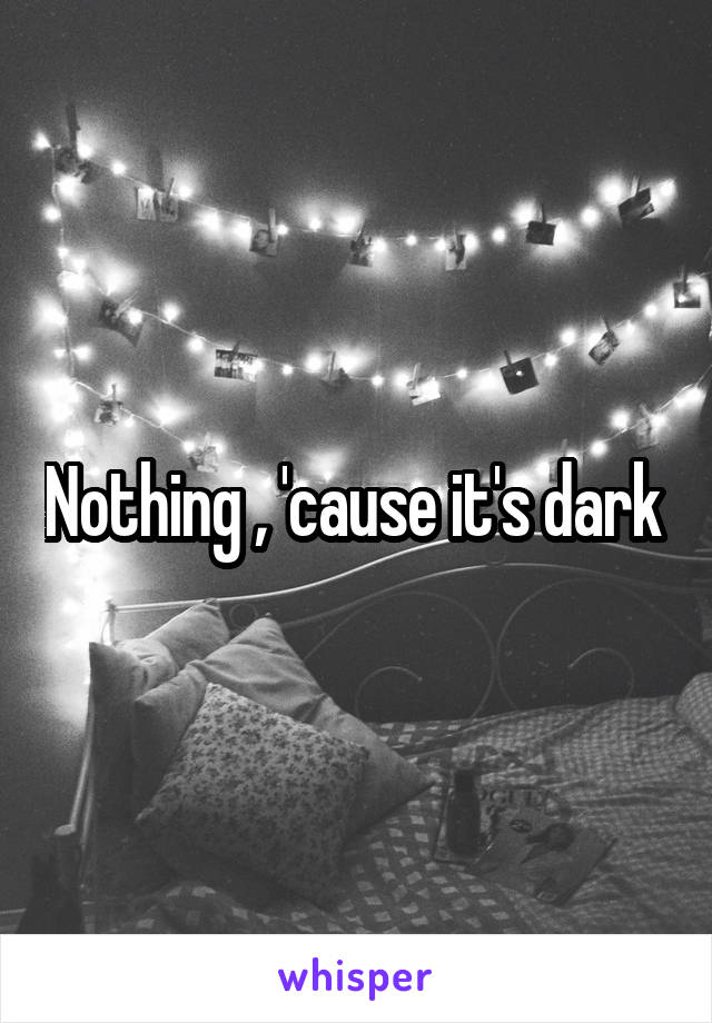 Nothing , 'cause it's dark 