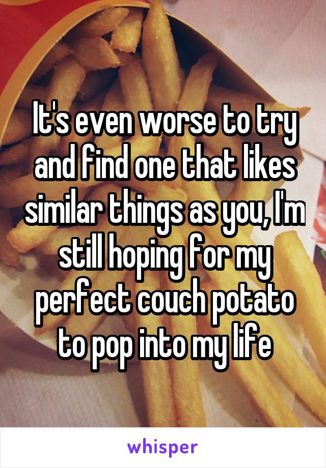 It's even worse to try and find one that likes similar things as you, I'm still hoping for my perfect couch potato to pop into my life