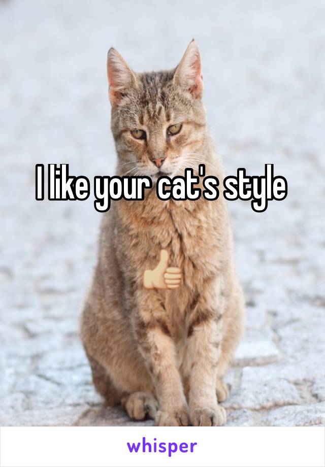 I like your cat's style 

👍🏼
