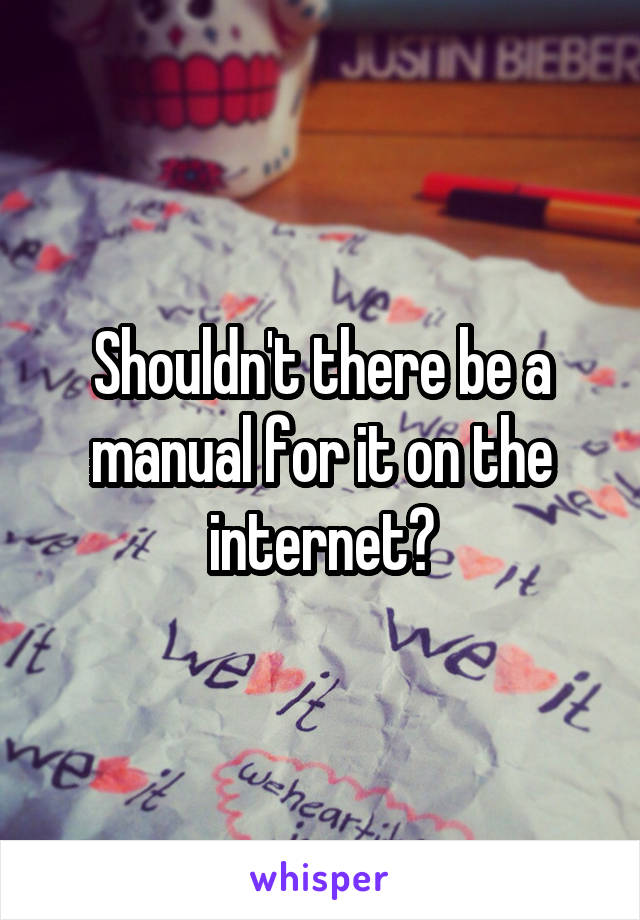 Shouldn't there be a manual for it on the internet?