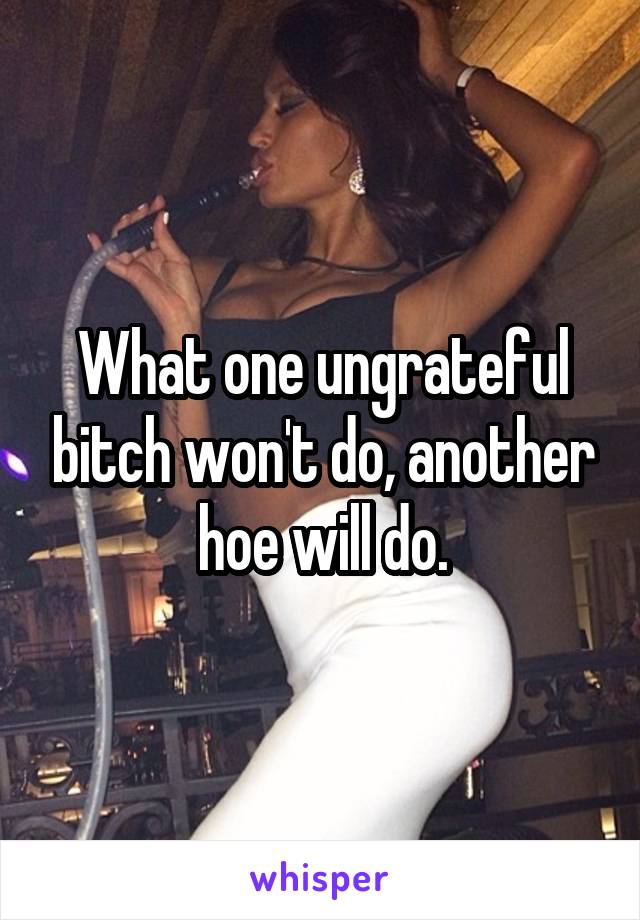 What one ungrateful bitch won't do, another hoe will do.