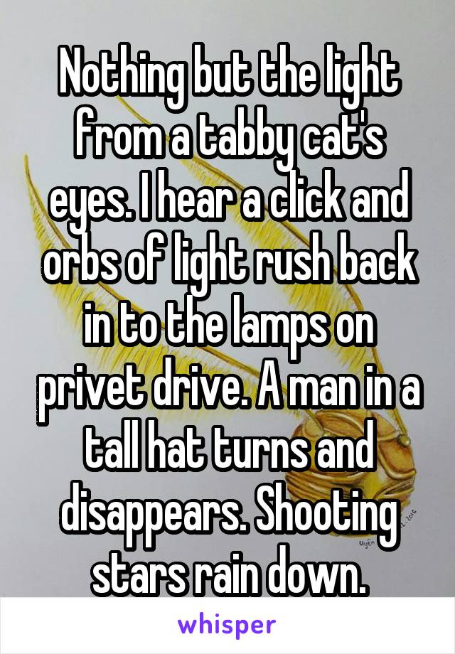 Nothing but the light from a tabby cat's eyes. I hear a click and orbs of light rush back in to the lamps on privet drive. A man in a tall hat turns and disappears. Shooting stars rain down.