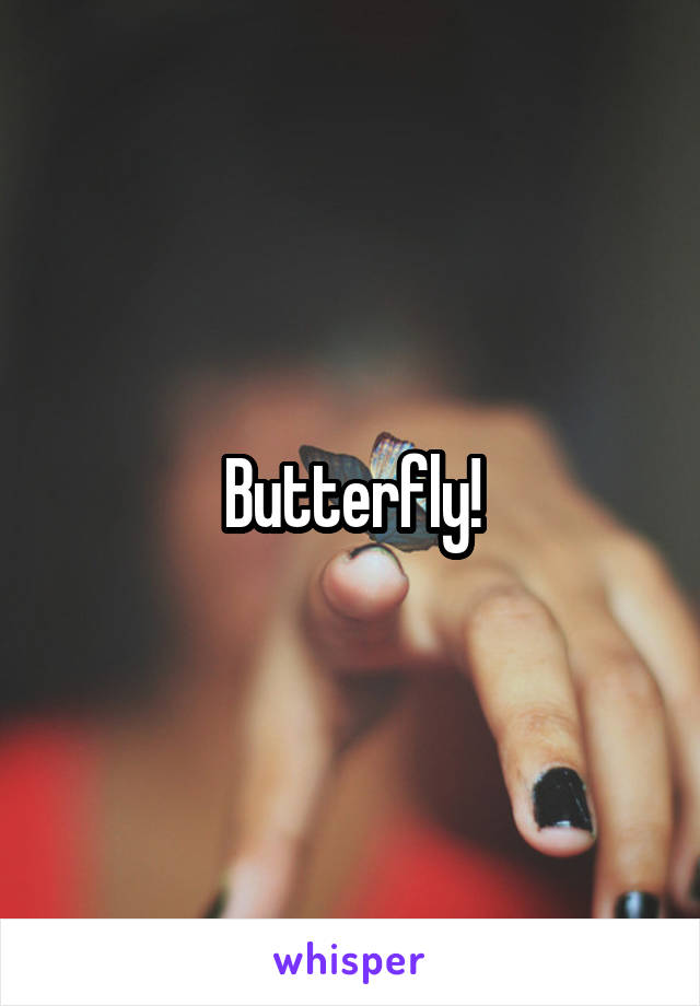 Butterfly!