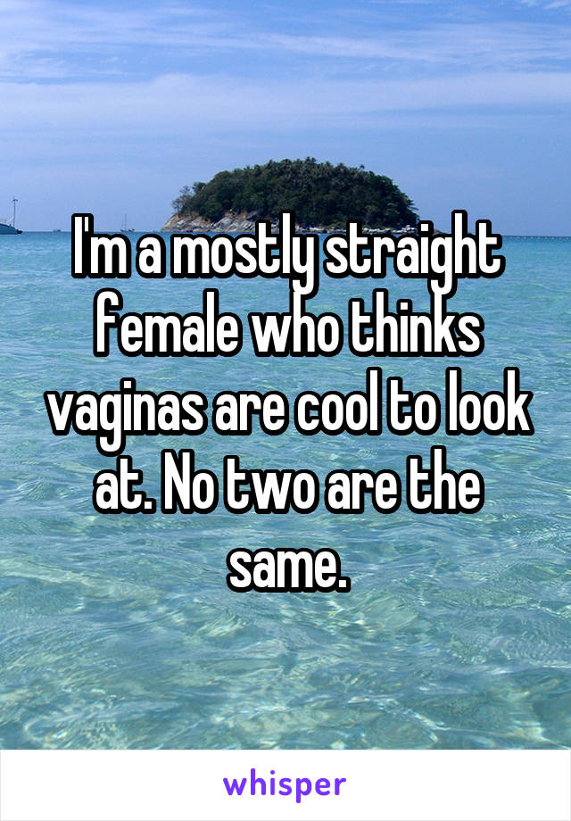 I'm a mostly straight female who thinks vaginas are cool to look at. No two are the same.