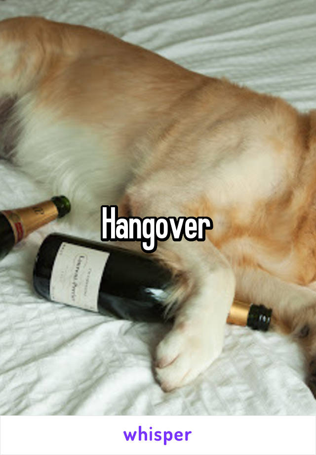 Hangover 