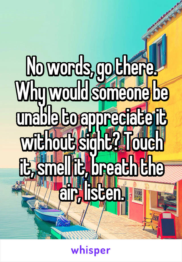 No words, go there. Why would someone be unable to appreciate it without sight? Touch it, smell it, breath the air, listen.