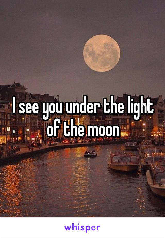 I see you under the light of the moon