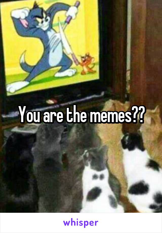 You are the memes??