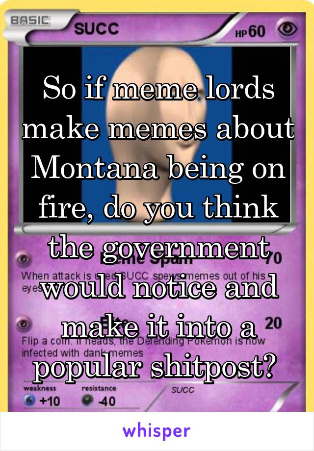 So if meme lords make memes about Montana being on fire, do you think the government would notice and make it into a popular shitpost? 