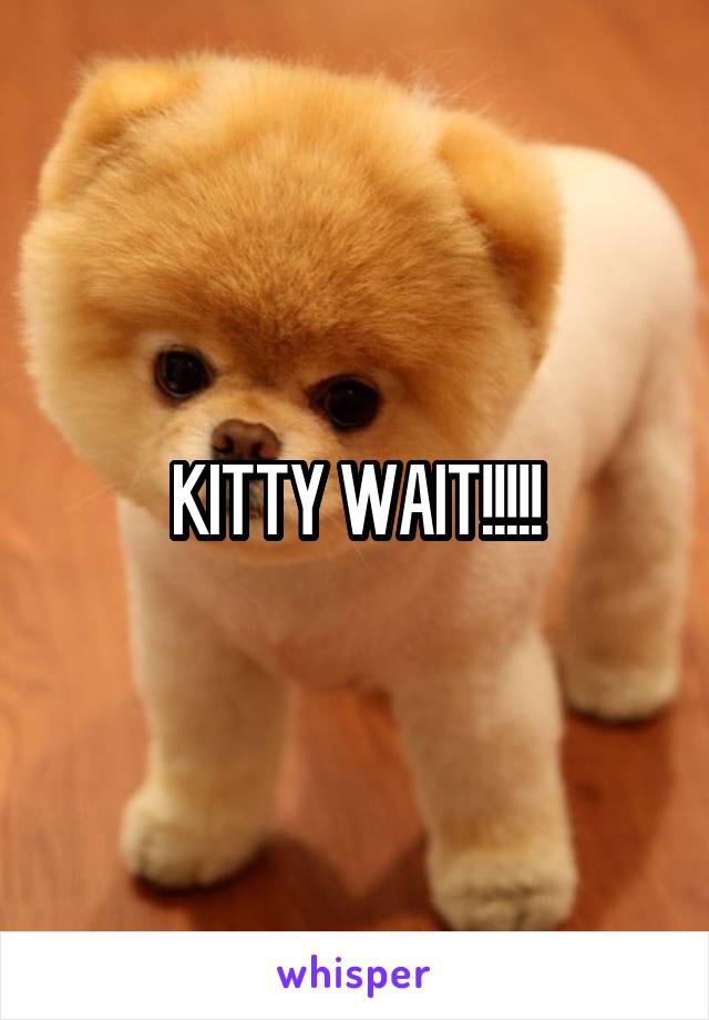 KITTY WAIT!!!!!