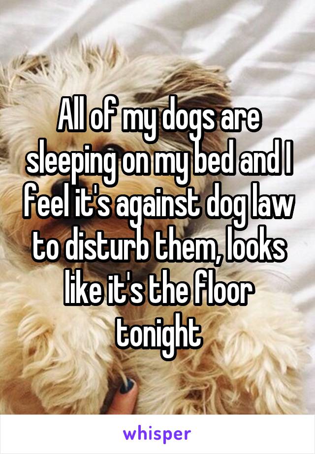 All of my dogs are sleeping on my bed and I feel it's against dog law to disturb them, looks like it's the floor tonight