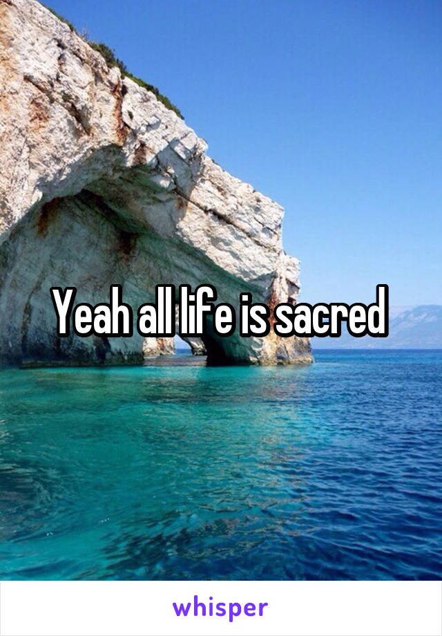 Yeah all life is sacred 