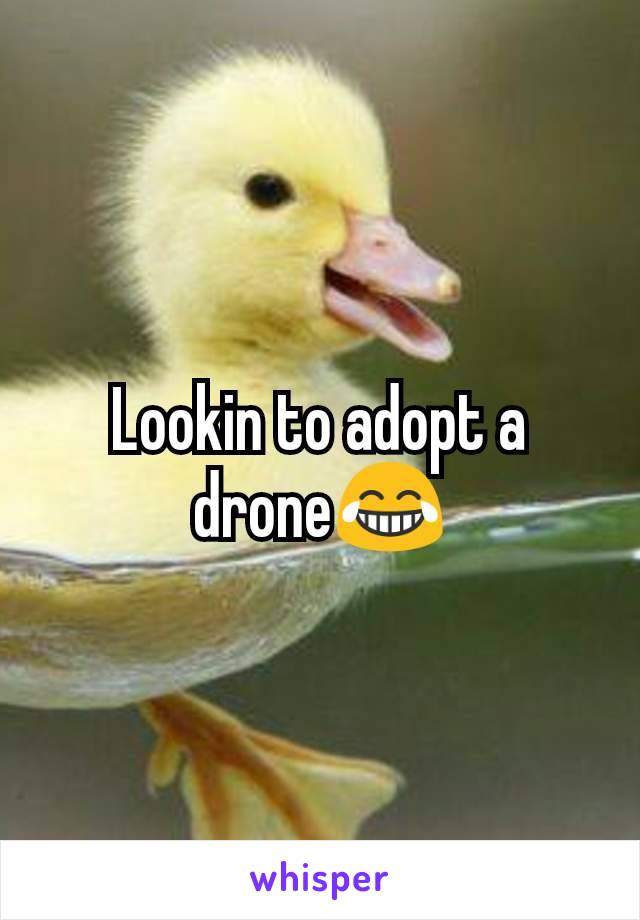 Lookin to adopt a drone😂