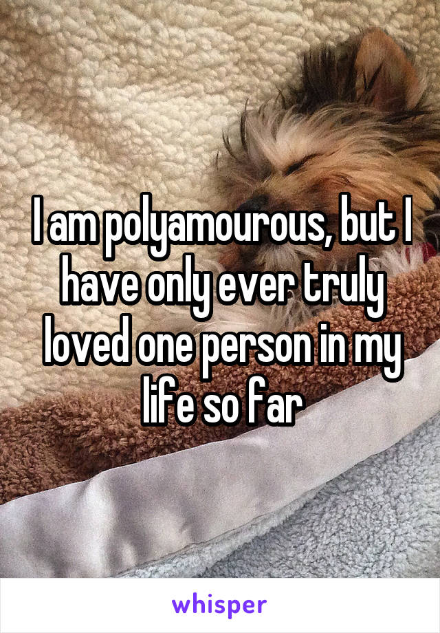 I am polyamourous, but I have only ever truly loved one person in my life so far