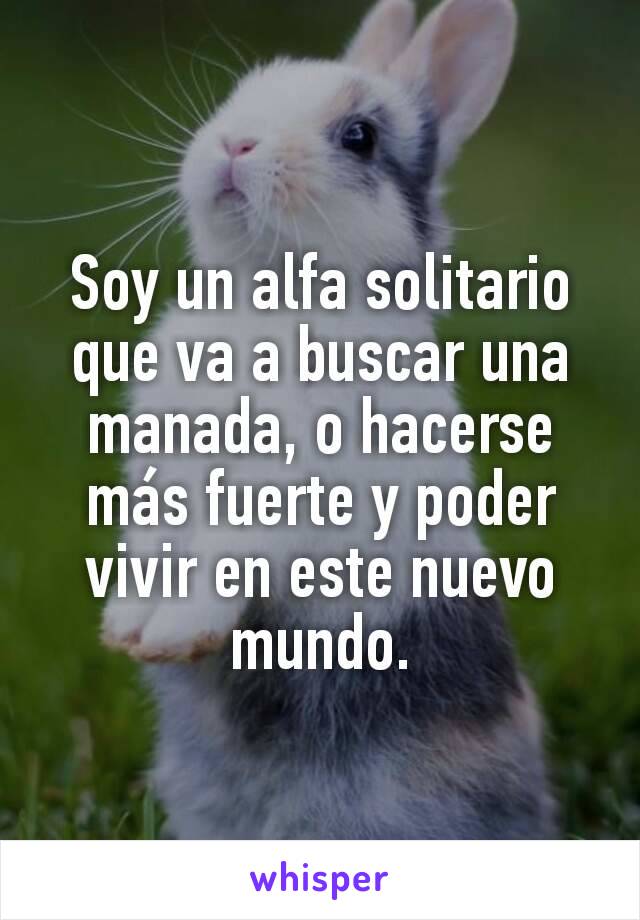 Soy un alfa solitario que va a buscar una manada, o hacerse más fuerte y poder vivir en este nuevo mundo.