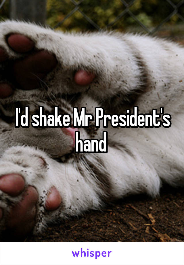 I'd shake Mr President's hand 