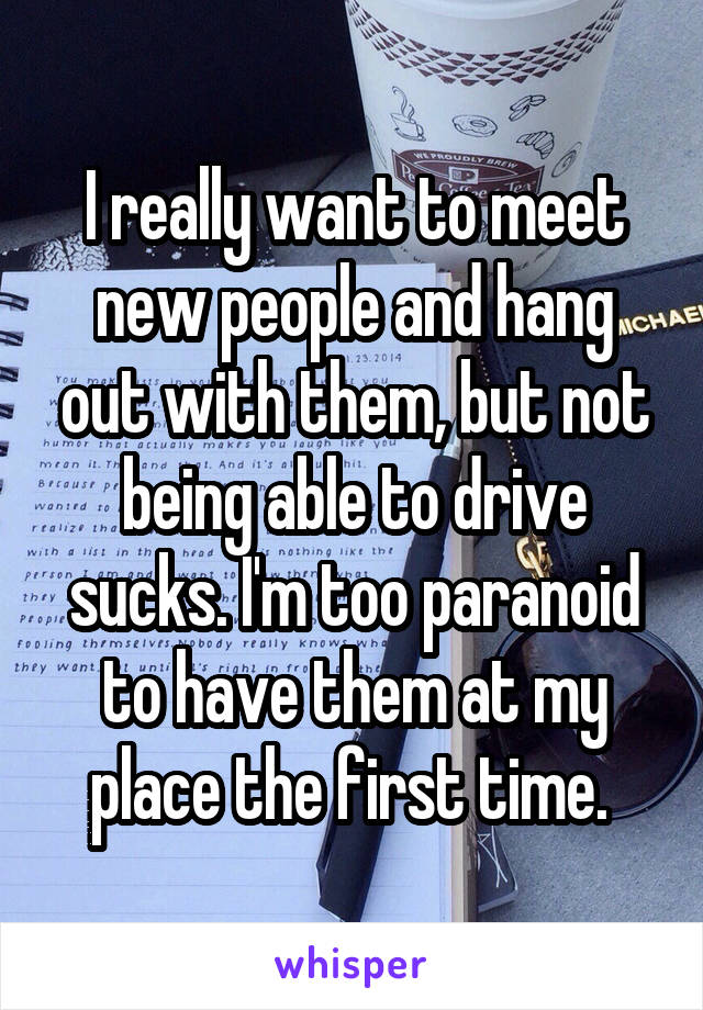 I really want to meet new people and hang out with them, but not being able to drive sucks. I'm too paranoid to have them at my place the first time. 