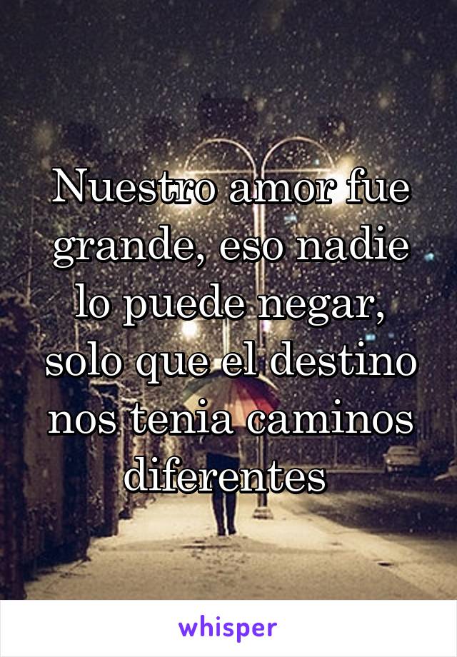 Nuestro amor fue grande, eso nadie lo puede negar, solo que el destino nos tenia caminos diferentes 