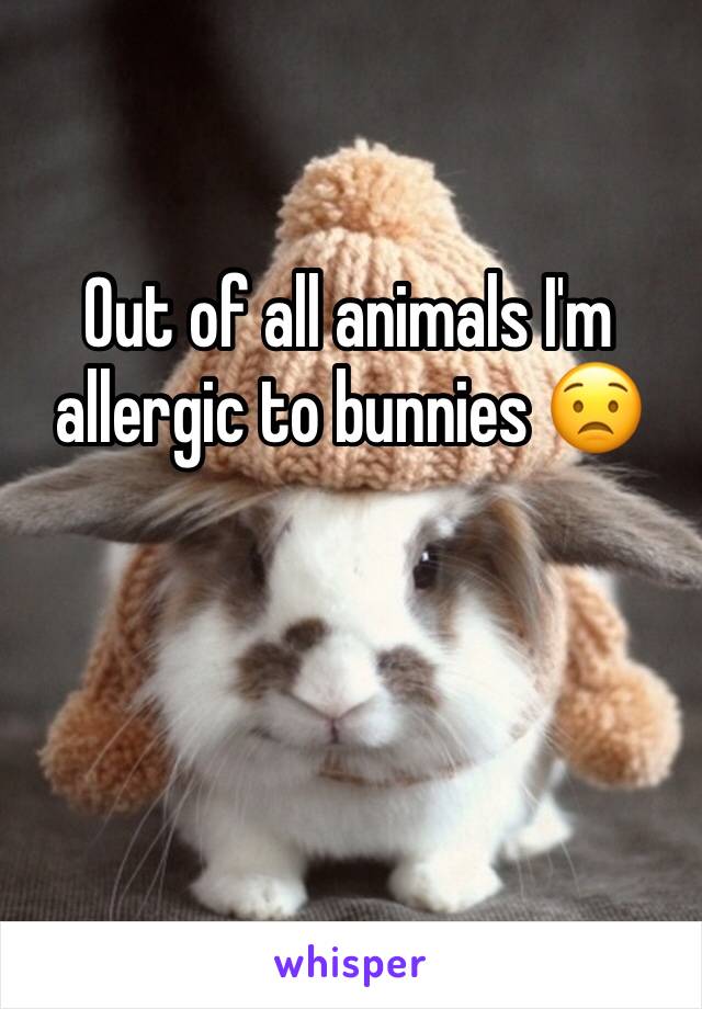 Out of all animals I'm allergic to bunnies 😟