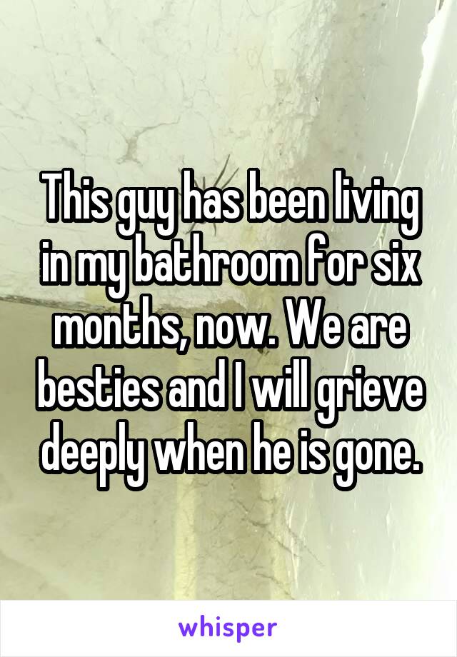 This guy has been living in my bathroom for six months, now. We are besties and I will grieve deeply when he is gone.