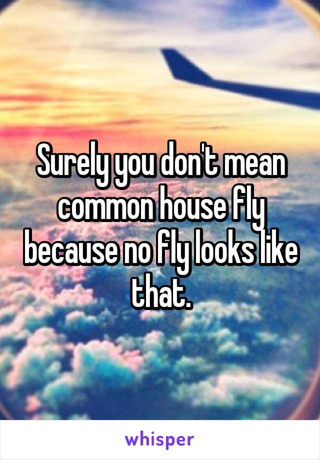 Surely you don't mean common house fly because no fly looks like that.