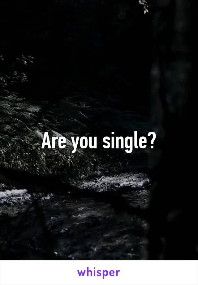 Are you single?