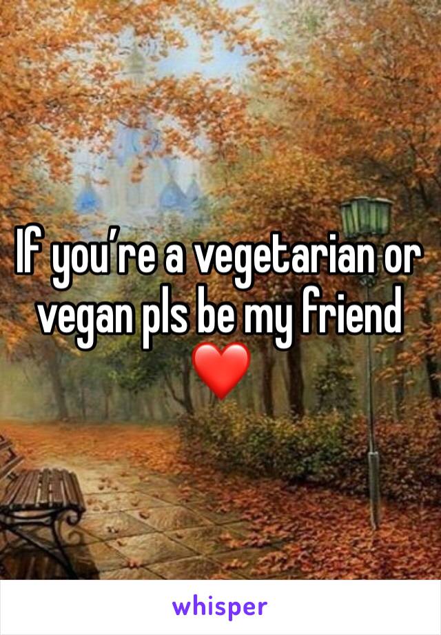 If you’re a vegetarian or vegan pls be my friend ❤️