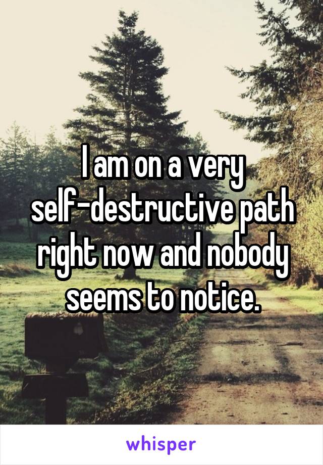 I am on a very self-destructive path right now and nobody seems to notice.