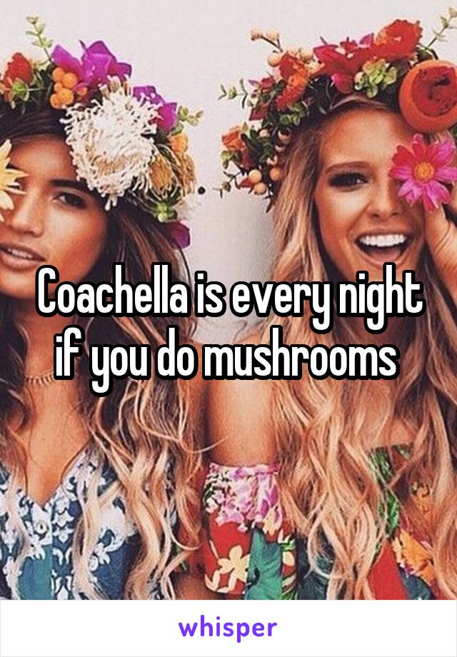 Coachella is every night if you do mushrooms 