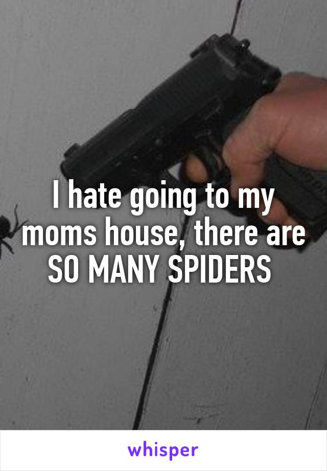 I hate going to my moms house, there are SO MANY SPIDERS 