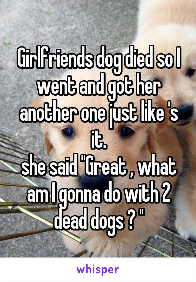 Girlfriends dog died so I went and got her another one just like 's it.
she said "Great , what am I gonna do with 2 dead dogs ? "