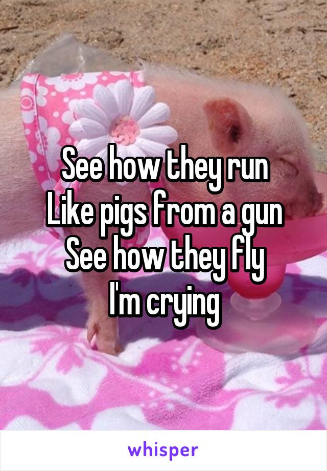 See how they run
Like pigs from a gun
See how they fly
I'm crying