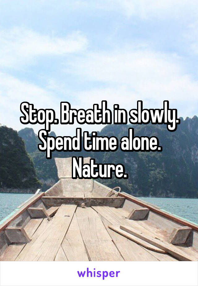 Stop. Breath in slowly. Spend time alone. Nature.
