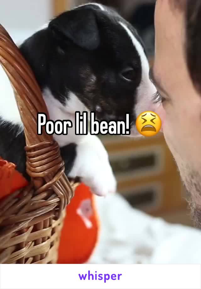 Poor lil bean! 😫