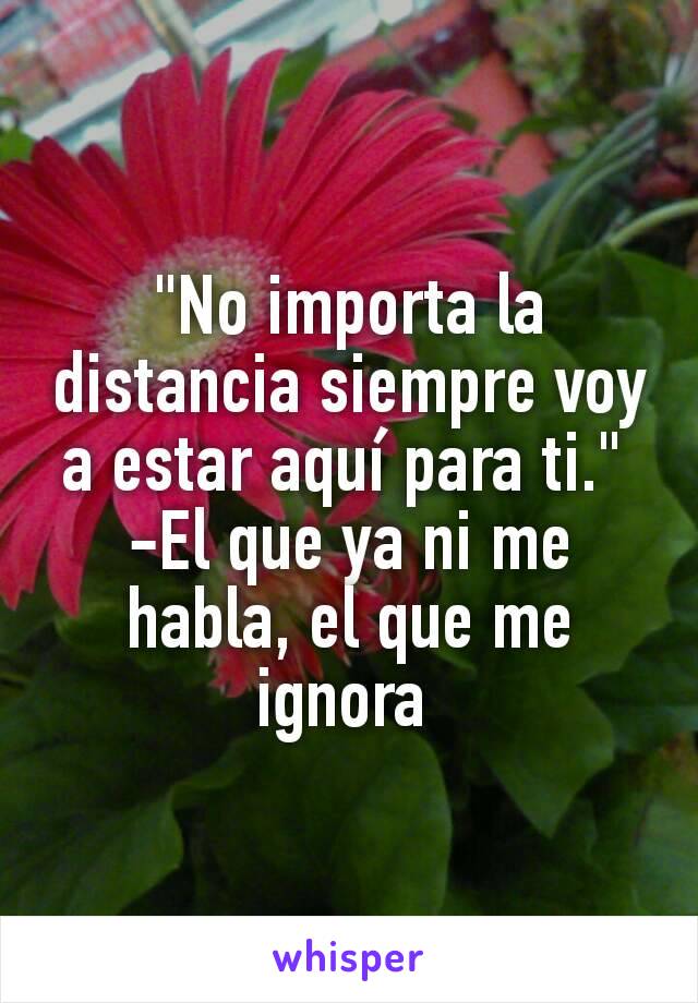 "No importa la distancia siempre voy a estar aquí para ti." 
-El que ya ni me habla, el que me ignora 