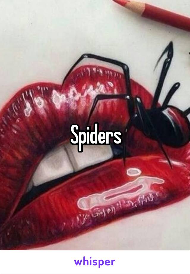 Spiders