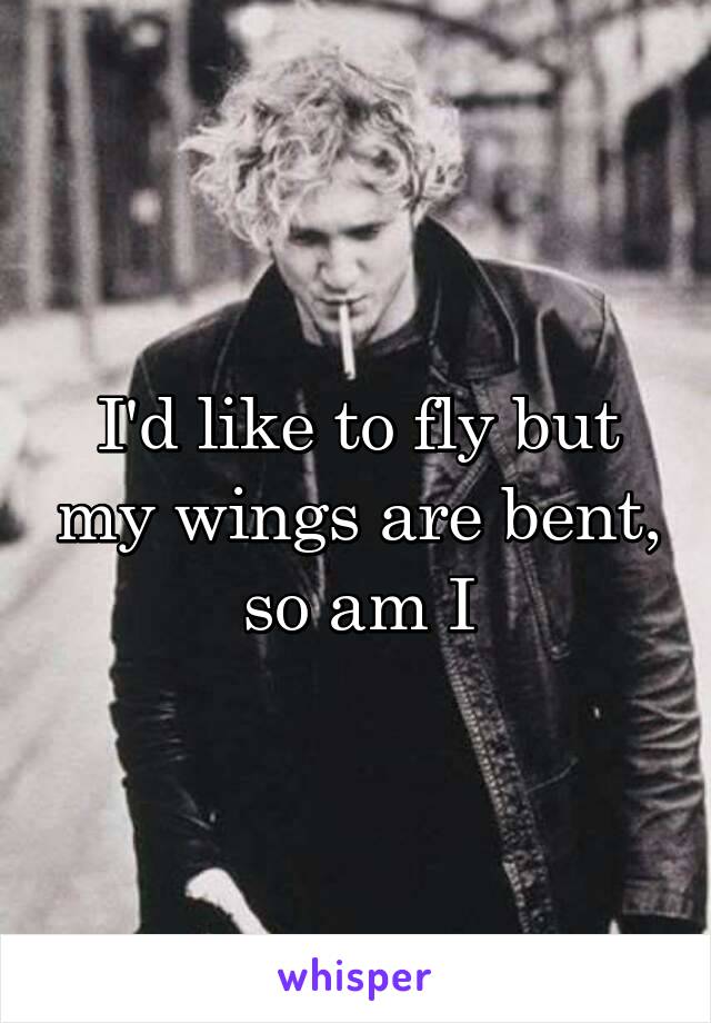 I'd like to fly but my wings are bent, so am I