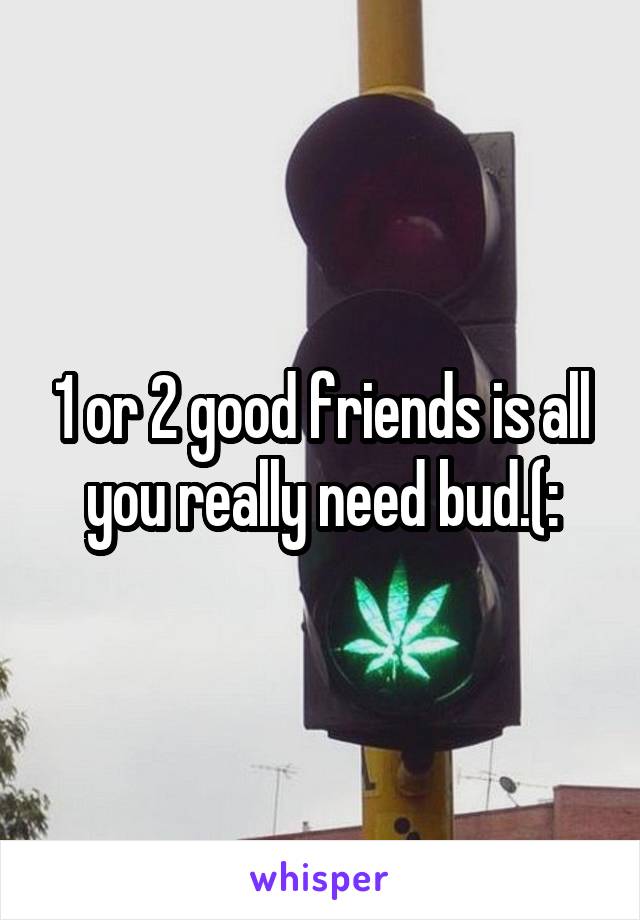 1 or 2 good friends is all you really need bud.(: