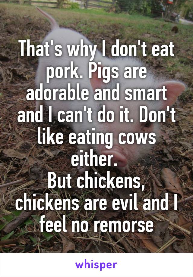 That's why I don't eat pork. Pigs are adorable and smart and I can't do it. Don't like eating cows either. 
But chickens, chickens are evil and I feel no remorse