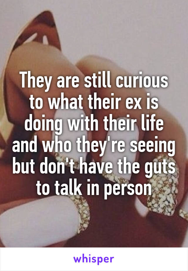 They are still curious to what their ex is doing with their life and who they're seeing but don't have the guts to talk in person