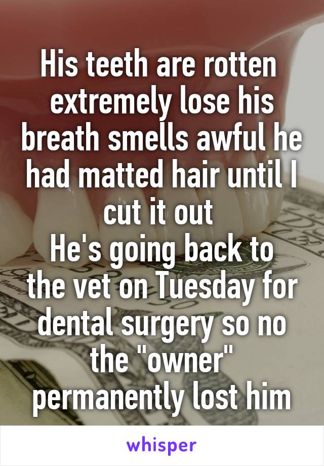 His teeth are rotten  extremely lose his breath smells awful he had matted hair until I cut it out 
He's going back to the vet on Tuesday for dental surgery so no the "owner" permanently lost him
