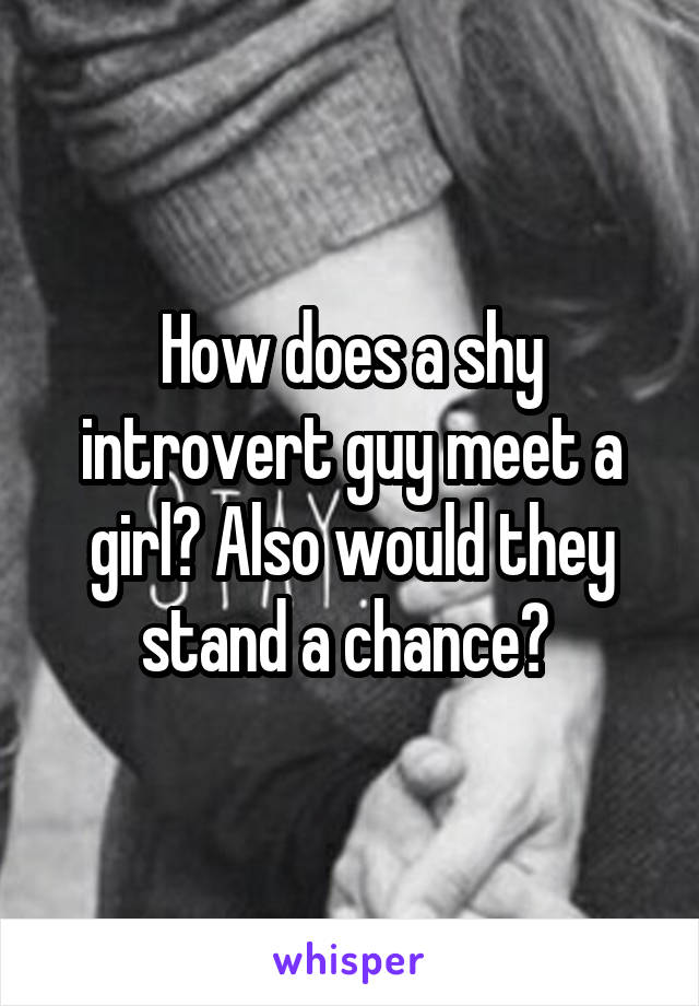 How does a shy introvert guy meet a girl? Also would they stand a chance? 