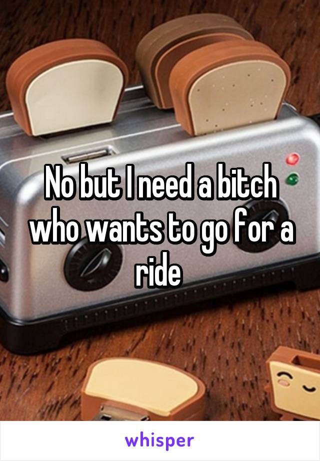 No but I need a bitch who wants to go for a ride 