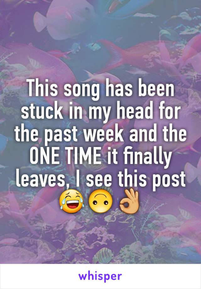 This song has been stuck in my head for the past week and the ONE TIME it finally leaves, I see this post 😂🙃👌