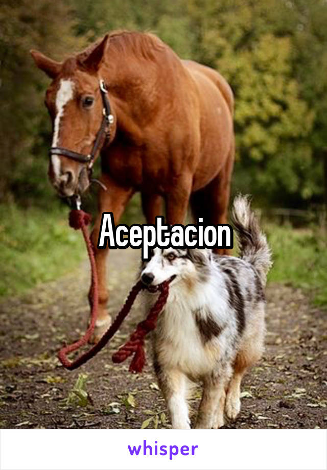 Aceptacion