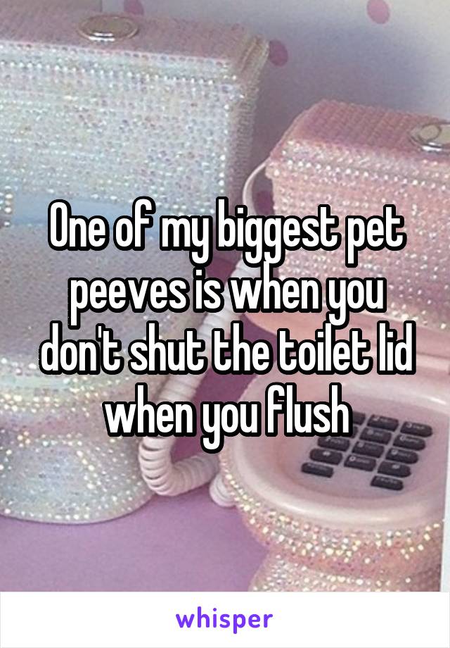 One of my biggest pet peeves is when you don't shut the toilet lid when you flush
